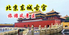欠草App天美中国北京-东城古宫旅游风景区